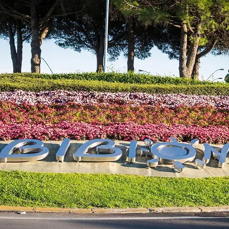 Wonderful 300 Meters From The
